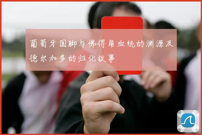 葡萄牙国脚与佛得角血统的渊源及德尔加多的归化故事